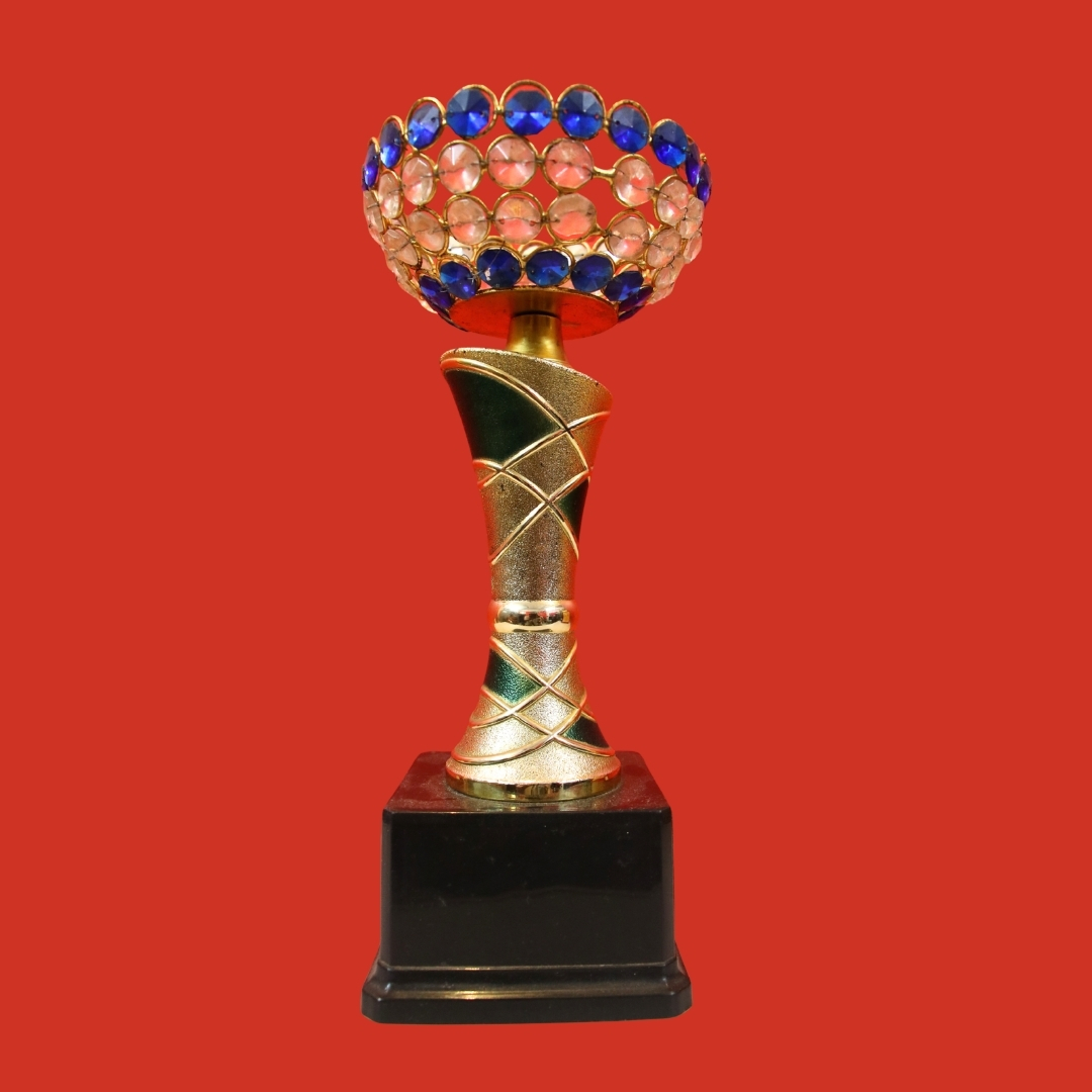 Dr. Vikram Talukdar — award and recognition 30